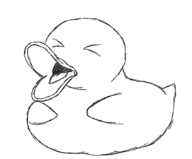 Duck - Practice